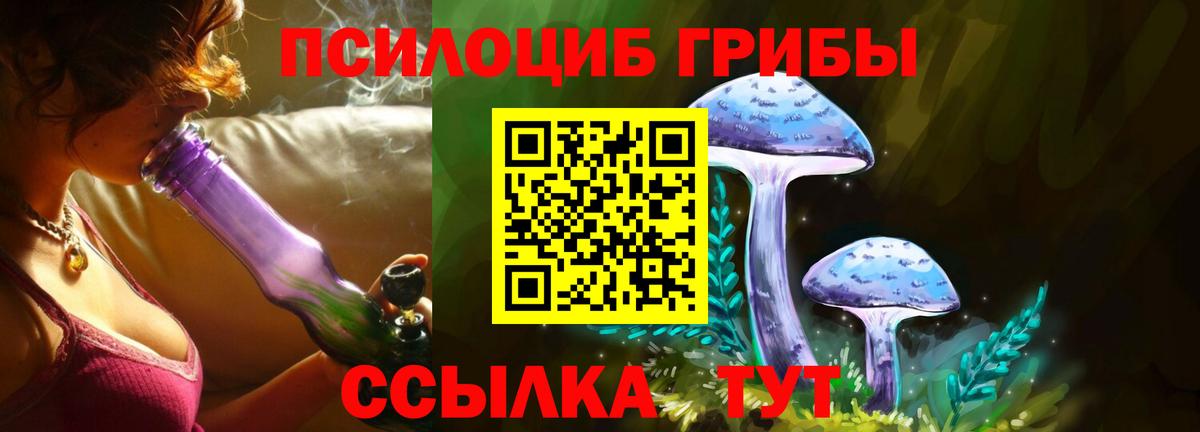 Родники  Галлюциногенные грибы ЛСД  Псилоцибиновые грибы Psilocybine cubensis  Вход с VPN 